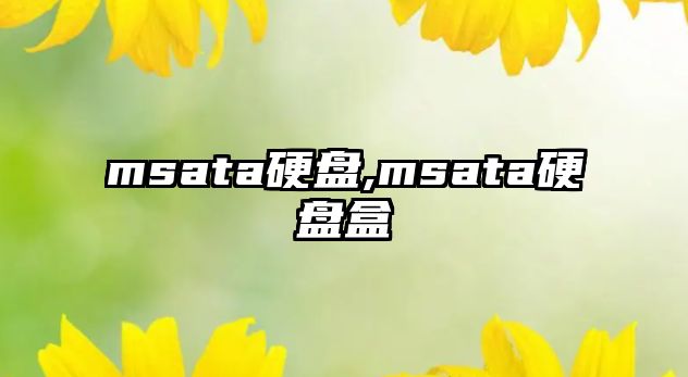 msata硬盤,msata硬盤盒