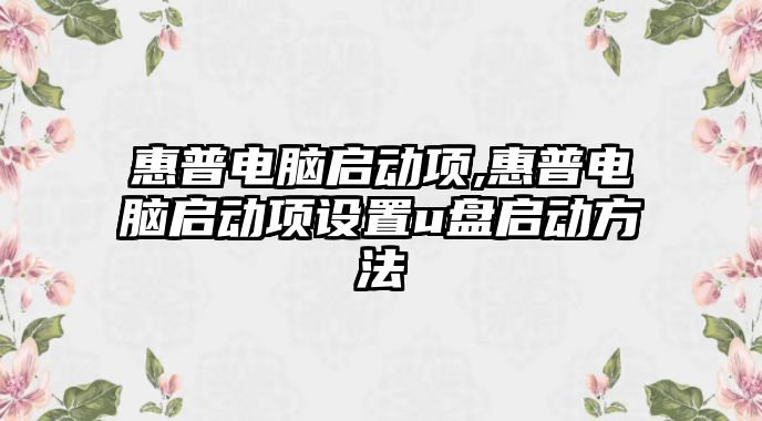 惠普電腦啟動項,惠普電腦啟動項設(shè)置u盤啟動方法