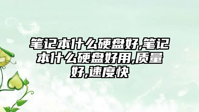 筆記本什么硬盤好,筆記本什么硬盤好用,質(zhì)量好,速度快