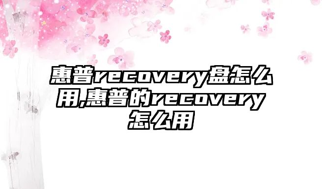 惠普recovery盤(pán)怎么用,惠普的recovery怎么用