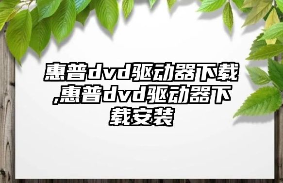 惠普dvd驅(qū)動(dòng)器下載,惠普dvd驅(qū)動(dòng)器下載安裝